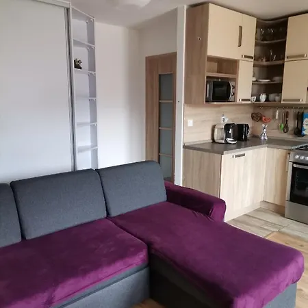 Family S Výhľadom Na Choč *