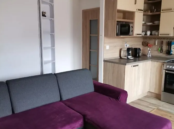 Family S Výhľadom Na Choč *